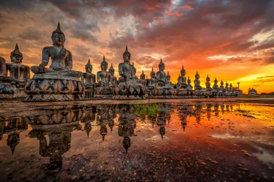 Discover the Best eSIM for Thailand: Stay Connected Seamlessly