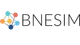 BNESIM