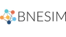 BNESIM
